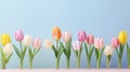 Rainbow tulips levitating, white studio lighting, fine details, octane rendering, pastel backdrop.