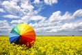 Rainbow umbrella Royalty Free Stock Photo