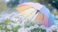 Rainbow umbrella in daisy field sunny day garden background spring ad Royalty Free Stock Photo