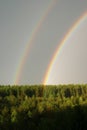 Rainbow under the forest Royalty Free Stock Photo