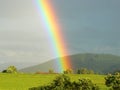 Rainbow view on a meadow with trees and a hill