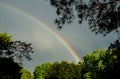 Rainbow Viewed Through Trees at Sunset Royalty Free Stock Photo