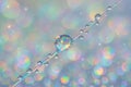 Rainbow water droplets reflecting light on a thin thread with dreamy bokeh background. concept of colorful reflection, mesmerizing Royalty Free Stock Photo