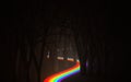 Rainbow way through the dark forest, 3d illustration Royalty Free Stock Photo