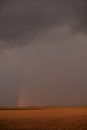 Rainbow On Wheat Field During A Summer Storm At Sunset