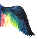 Rainbow wing