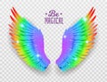 Rainbow wings. Realistic bright freedom symbol, symmetric shapes, pride color feathers, beautiful magical multicolor bird elements