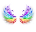 Rainbow wings on a white background