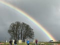 Rainbow at Wooden Shoe Tulip Festival