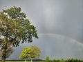 Rainbow in a yellow rape field Royalty Free Stock Photo