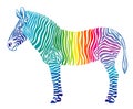 Rainbow zebra Royalty Free Stock Photo