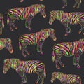 Rainbow Zebra portrait seamless pattern sketch on black background. Vector