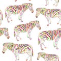 Rainbow Zebra portrait seamless pattern sketch isolated on white background. Vector