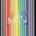 Rainbow zebra with rainbow stripes background Royalty Free Stock Photo