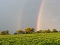 Rainbows Edh landscap weather trees mautain combination of more trees