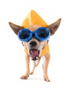 Raincoat and goggles Royalty Free Stock Photo