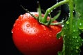 raindrop falling on a ripe tomato
