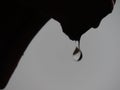 raindrop falling from the roof