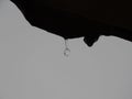raindrop falling from the roof