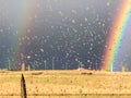 Raindrop glass with a rainbow in a field