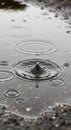 Raindrop hitting a water surface, creating concentric ripples. The central splash forms Royalty Free Stock Photo