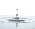 Raindrop Splash Isolated on White Background Royalty Free Stock Photo