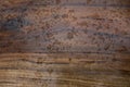 Raindrop water on wooden plank background at outdoor