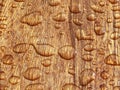 Raindrop on wood Royalty Free Stock Photo