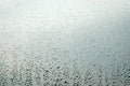 Raindrops Royalty Free Stock Photo