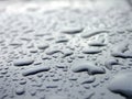 Raindrops Royalty Free Stock Photo