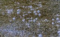 Raindrops bouncing in a puddle during a heavy shower.