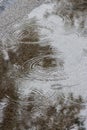 Raindrops Causing Ripples on a Puddle