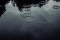 Raindrops circles. Raindrops making circles on the lake while raining background Royalty Free Stock Photo