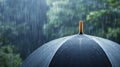 Raindrops cling to the surface of an umbrella, creating a mesmerizing closeup on a dreary, rainy day