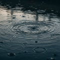 Raindrops create concentric ripples in a dark blue puddle, capturing the moment of Royalty Free Stock Photo