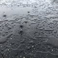 Raindrops create ripples and splashes on a smooth, dark asphalt surface. The drops vary in size, Royalty Free Stock Photo