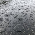 Raindrops create ripples and splashes on a wet, black asphalt surface. Water droplets of various Royalty Free Stock Photo