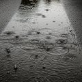 Raindrops create ripples on a wet textured surface, possibly asphalt. The water forms Royalty Free Stock Photo