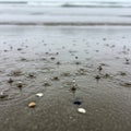 Raindrops create small splashes and ripples on a sandy beach Royalty Free Stock Photo