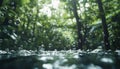 Raindrops creating ripples on a forest pond during a serene summer afternoon Royalty Free Stock Photo