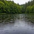Raindrops Dancing on a Tranquil Lake Surface Royalty Free Stock Photo