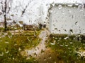 Raindrops in a day of summer rain Royalty Free Stock Photo