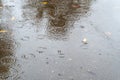 Raindrops fall in puddle with leaves on road Royalty Free Stock Photo