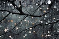 Raindrops falling on the branches of a tree in the autumn forest Royalty Free Stock Photo