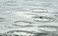 Raindrops falling into pond making ripples Royalty Free Stock Photo