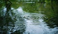 Raindrops falling on the surface of a serene lake, ripples on water surface Royalty Free Stock Photo