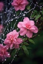 raindrops on a fragile spiderweb among flowers