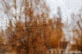 Raindrops on glass against a background of yellow trees Royalty Free Stock Photo