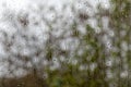 Raindrops on glass on a background of green wood. Selective focus Royalty Free Stock Photo