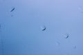 Raindrops on glass. Rain drops on glass on a blue background Royalty Free Stock Photo